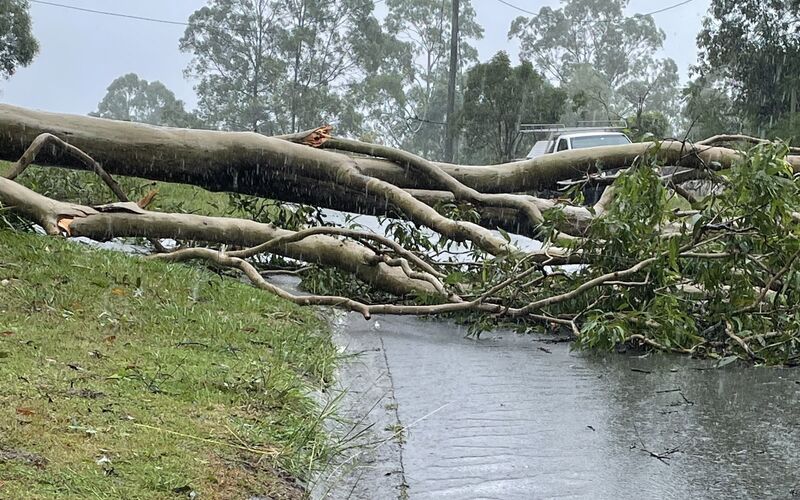 Cyclone Alfred