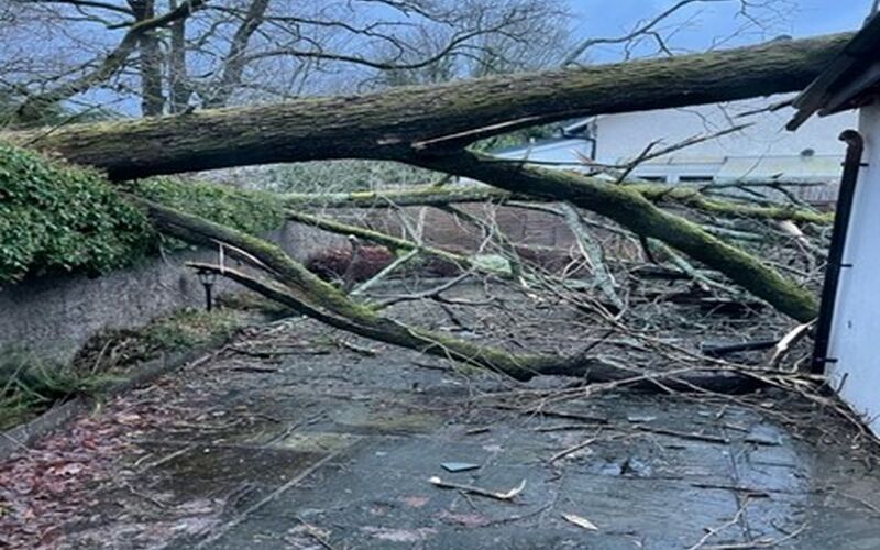 Damage caused by Storm Eunice