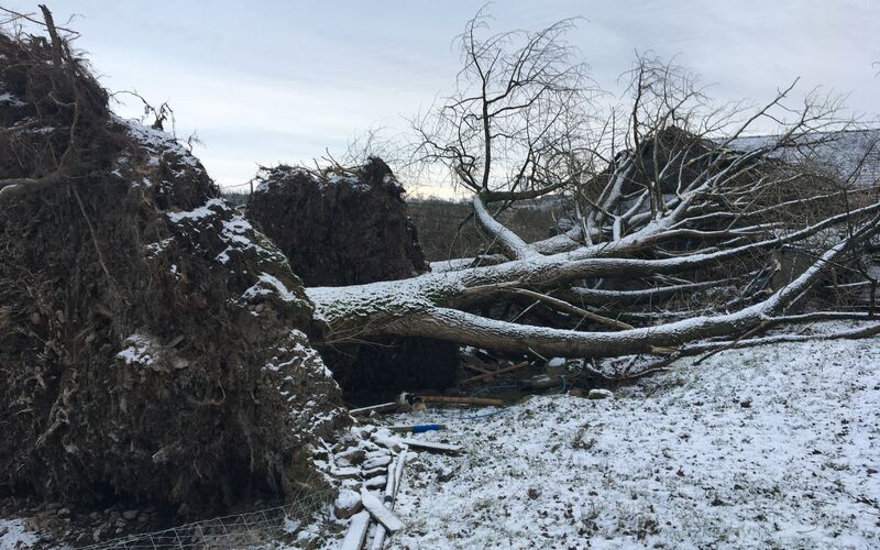 Damage caused by Storm Eunice