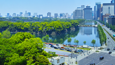 A city skyline with modern buildings next to a calm lake, surrounded by lush green trees and a busy road with vehicles