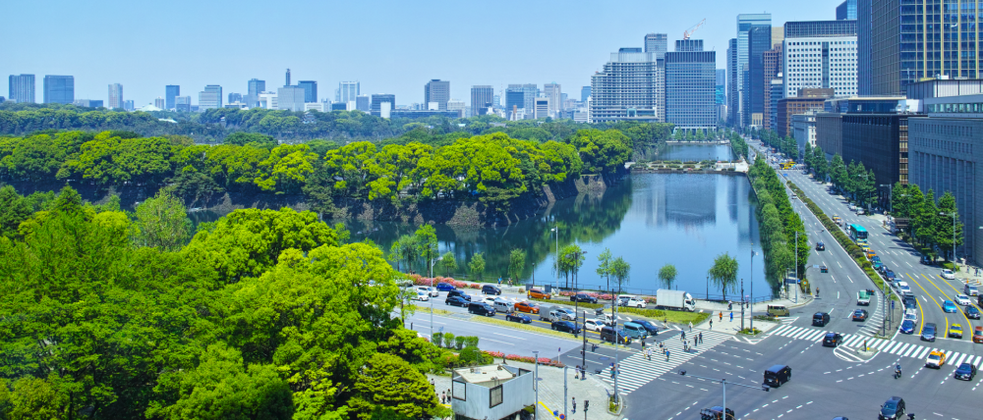 A city skyline with modern buildings next to a calm lake, surrounded by lush green trees and a busy road with vehicles