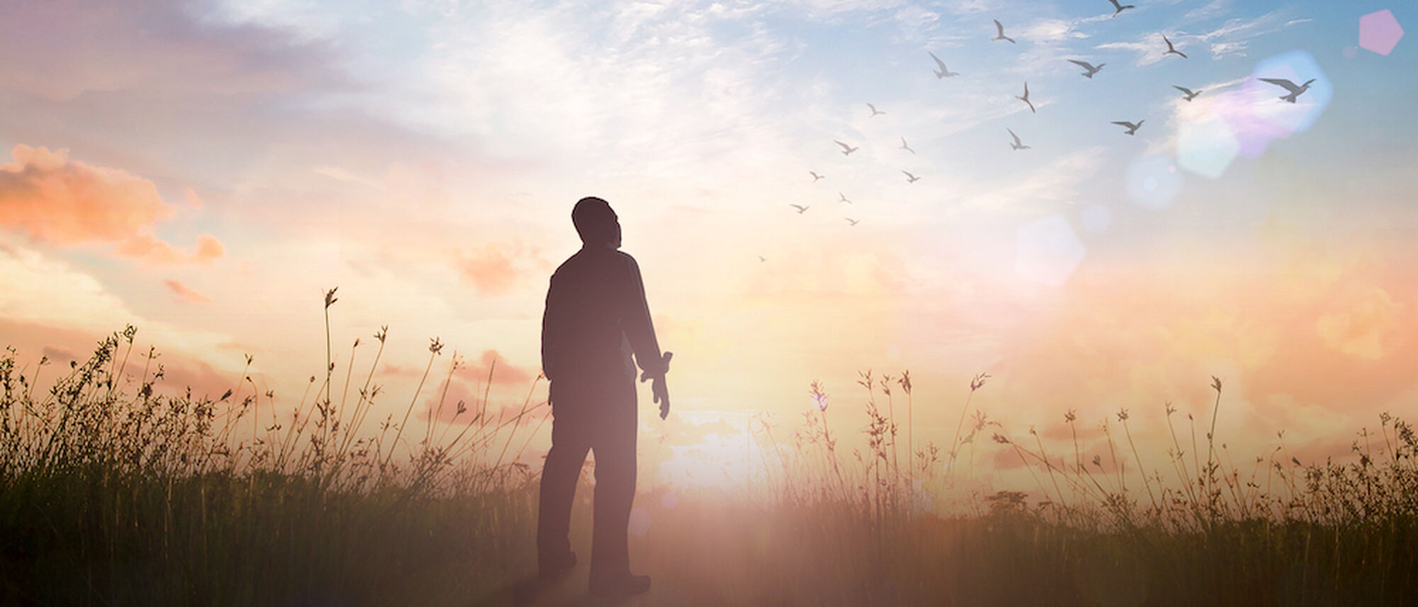 Silhouette of man looking at birds in the sky