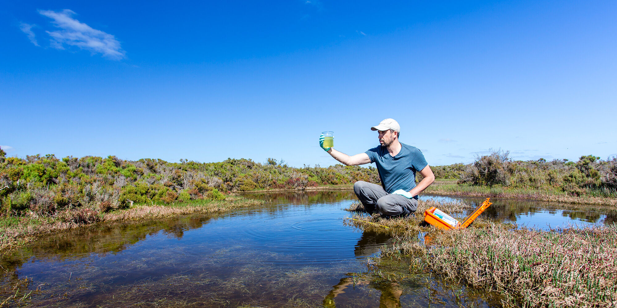 Environmental Consultancy off to a flying start