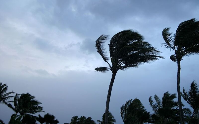 Cat Event Hawaii Hurricane August 001