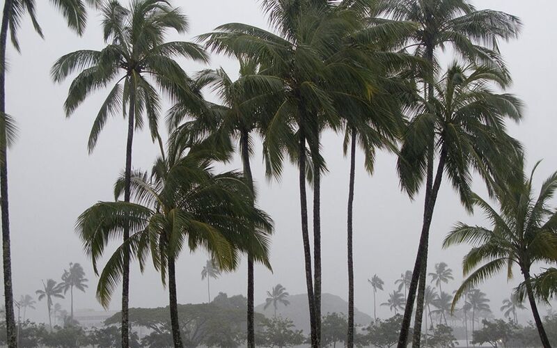 Cat Event Hawaii Hurricane August 003