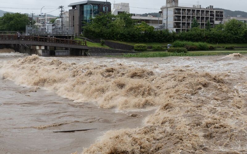 Cat Event Typhoon Jebi Japan September 2018 001