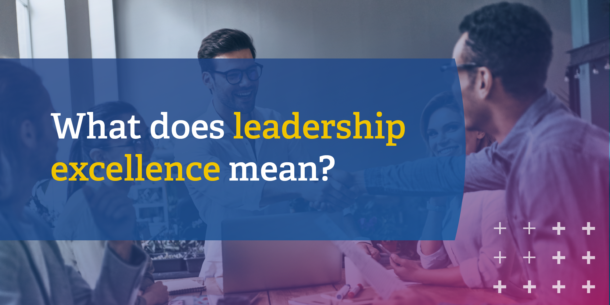 What does leadership excellence mean?