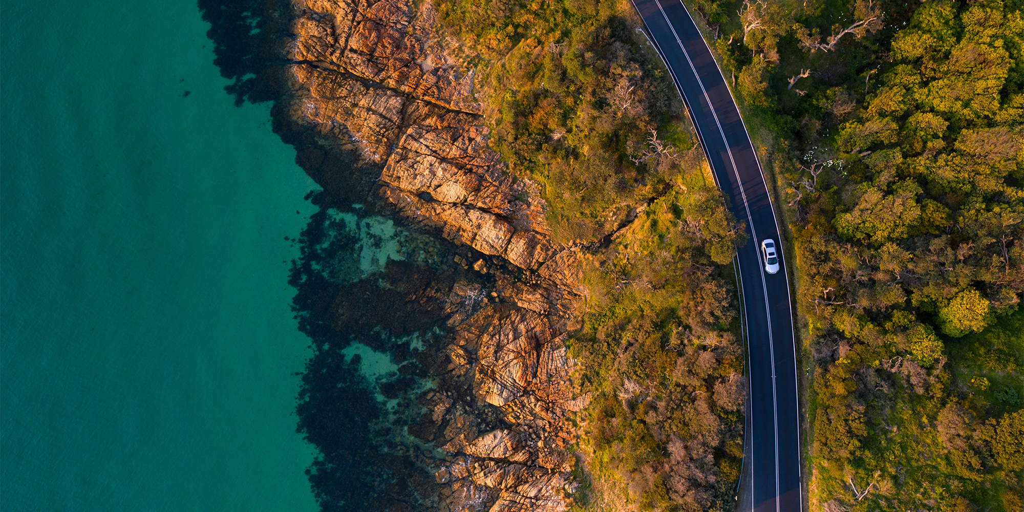 Crawford TPA – Delivering trust through seamless claims management