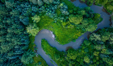Navigating claims with confidence