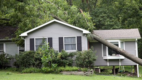Storm-ready solutions: Managing claims with confidence