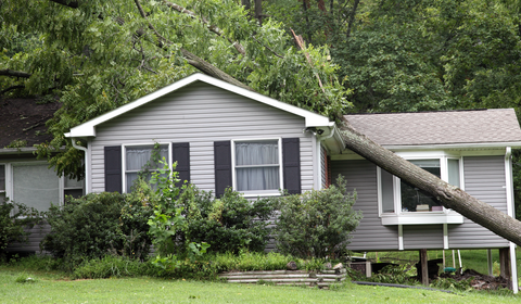 Storm-ready solutions: Managing claims with confidence