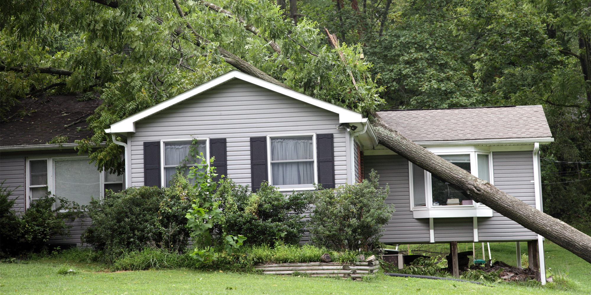 Storm-ready solutions: Managing claims with confidence