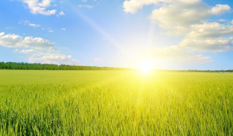Heatwave and agricultural claims