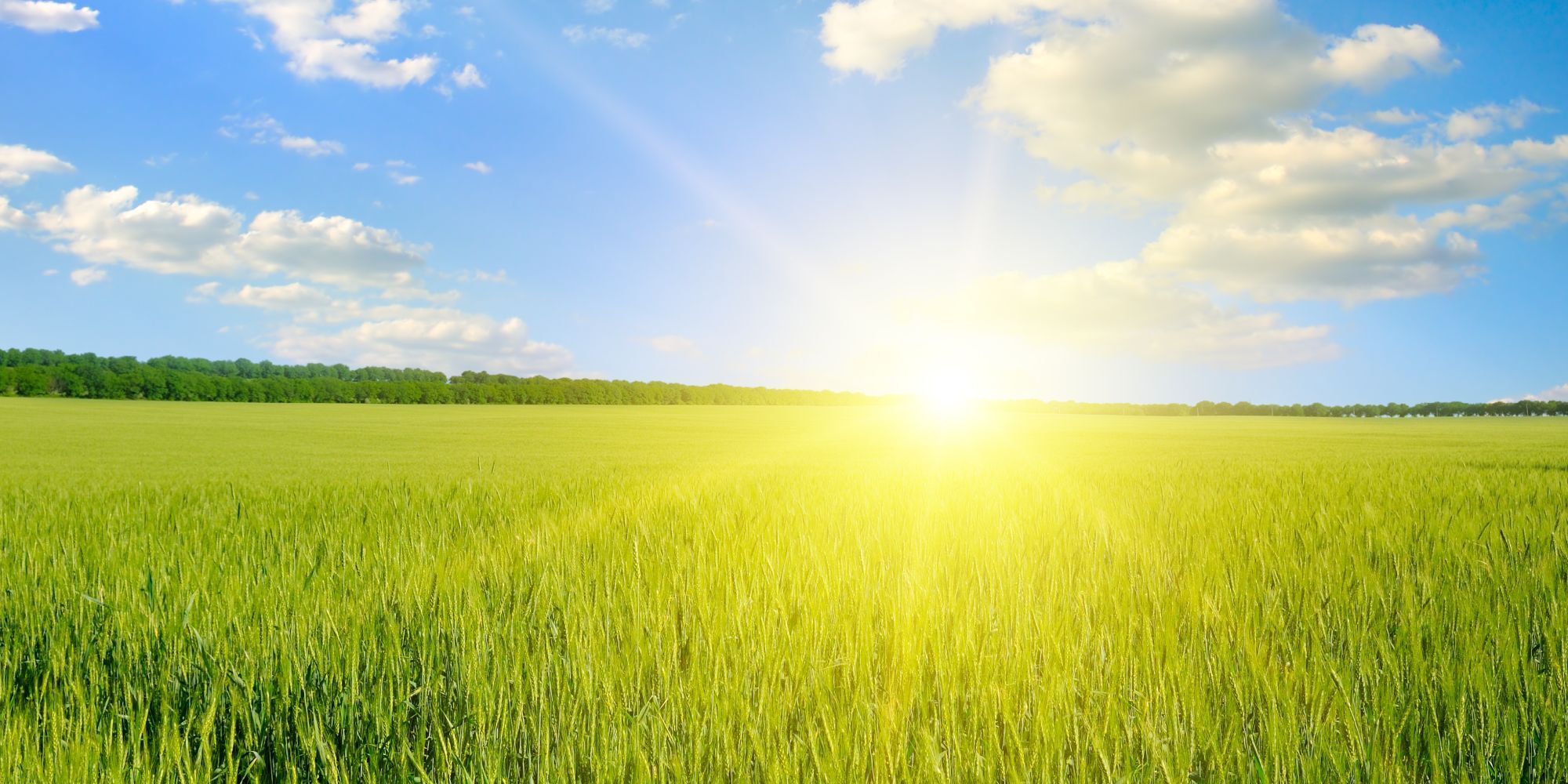 Heatwave and agricultural claims