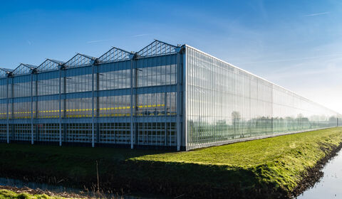 A vast greenhouse with a glass facade, reflecting sunlight, set against a clear blue sky and a grassy area beside a narrow waterway