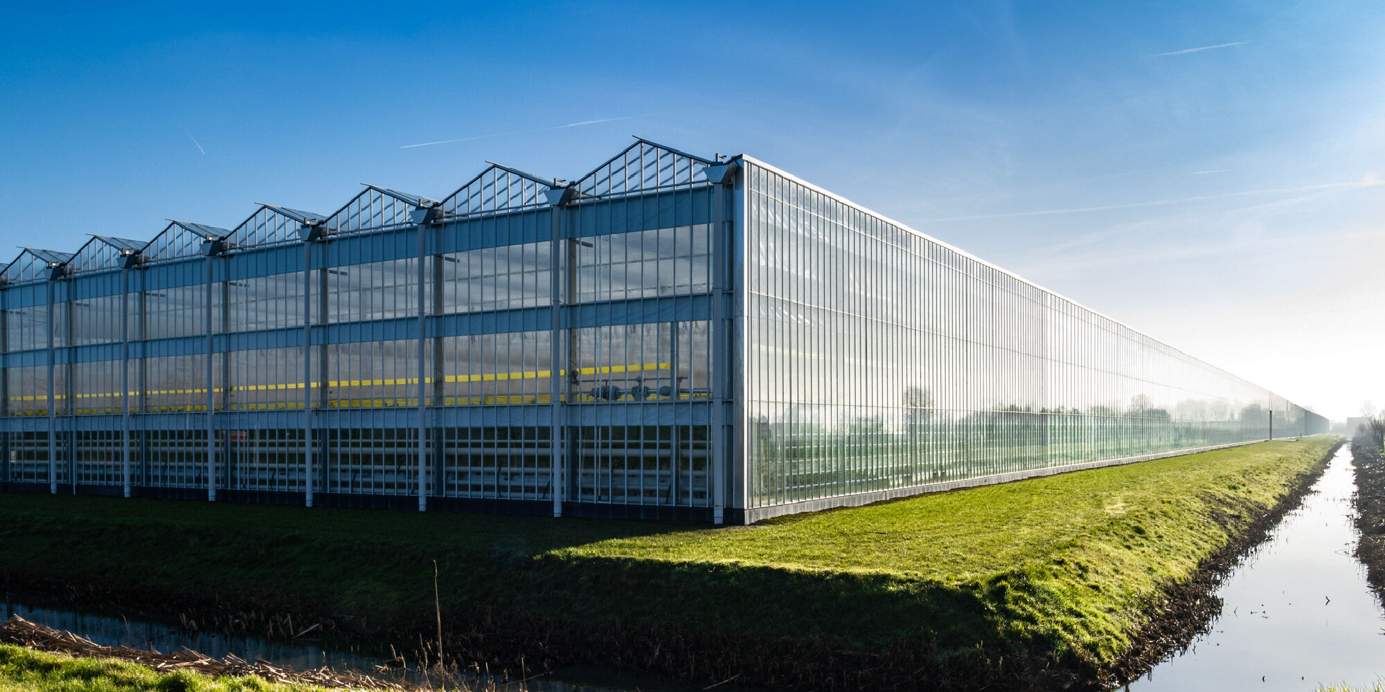 A vast greenhouse with a glass facade, reflecting sunlight, set against a clear blue sky and a grassy area beside a narrow waterway