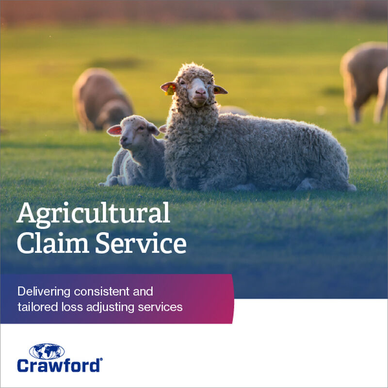 A group of sheep in a grassy field with the text "Agricultural Claim Service" and company details in the foreground