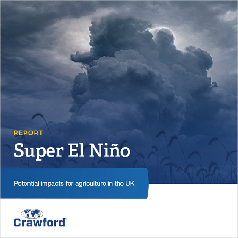 A report cover titled "Super El Niño" with the subtitle "Potential impacts for agriculture in the UK," featuring a stormy cloud sky