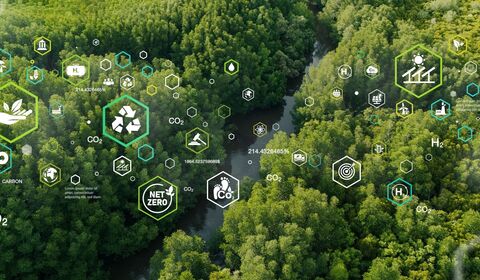 Our commitment to SBTi-aligned science-based targets in the UK