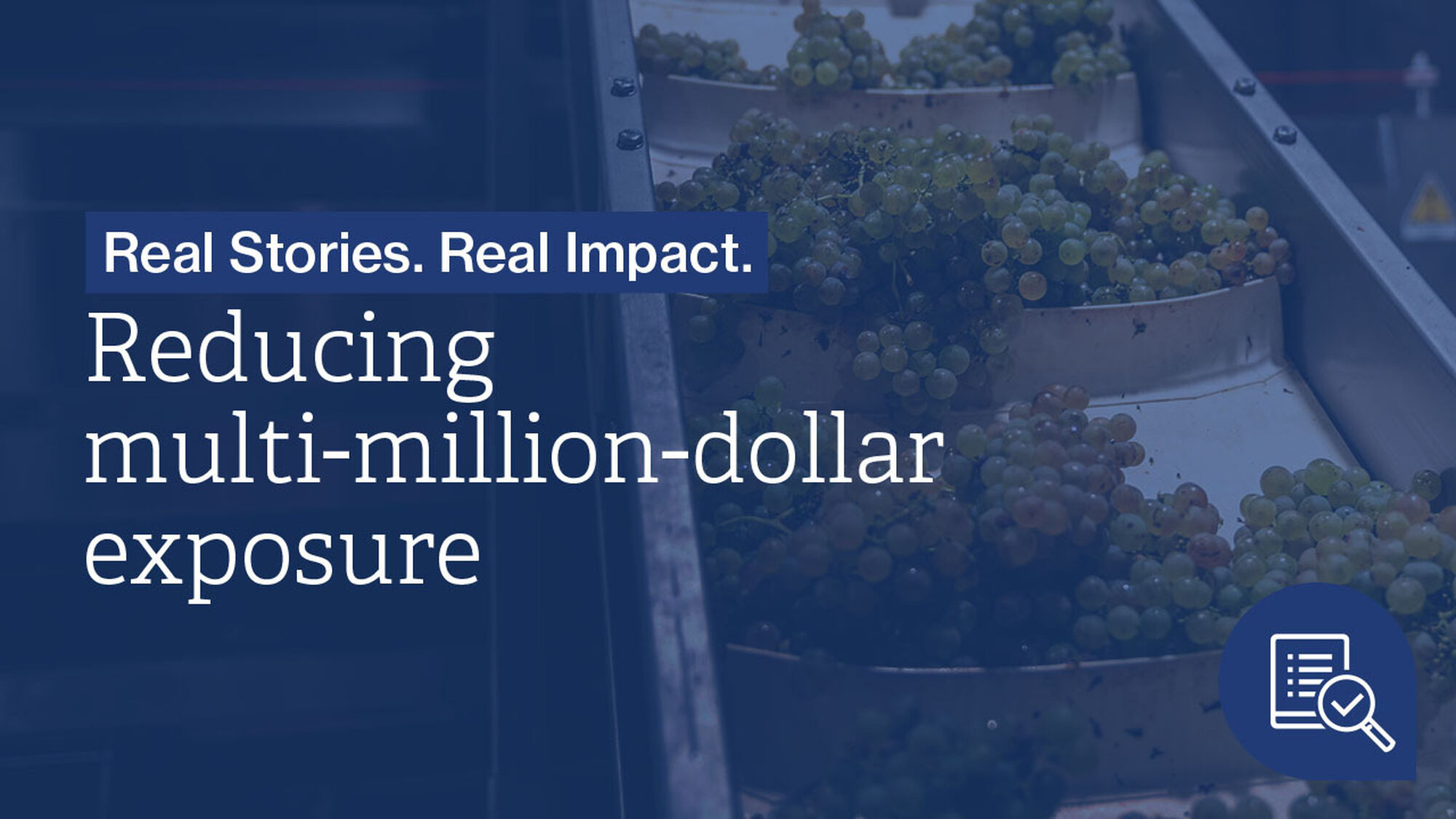 A conveyor belt with clusters of grapes and a text overlay highlighting real stories and reducing multi-million-dollar exposure