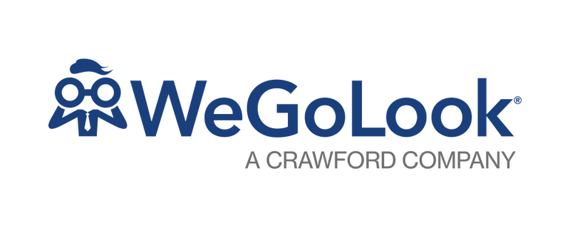 Global Wegolook Logo Formatted2